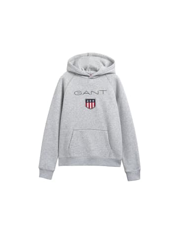 Gant Sweatshirt in Grau