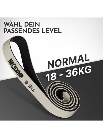 Neolymp Widerstandsband "HRB430" Stufe 3 in Grau, 18-36 kg