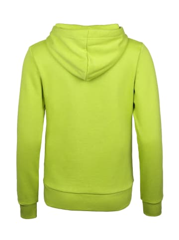 SCHIETWETTER SCHIETWETTER Hoodie Malte in lime