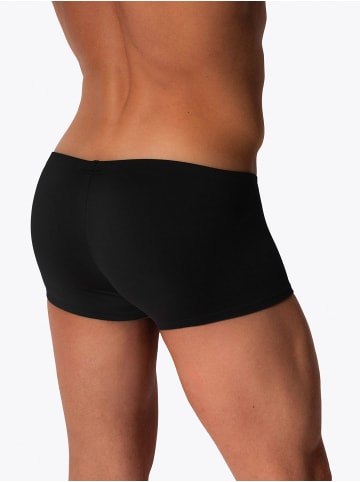 MANSTORE Boxer M2569 Micro Pants in Black