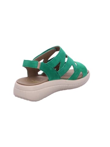 Fidelio Schnürschuh in grün