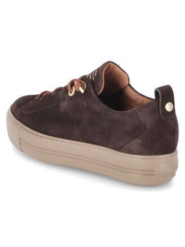 Paul Green Schnürhalbschuh in braun