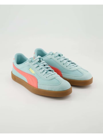 Puma Sneaker low in Blau