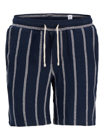 JACK & JONES Junior Shorts in Sky Captain