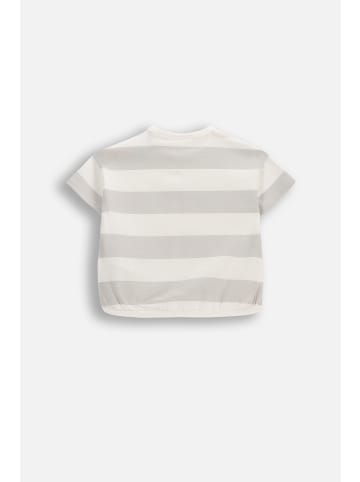 Coccodrillo T-Shirt mit kurzen Ärmeln in grau