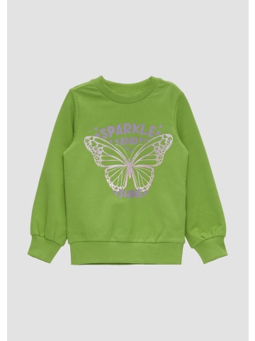 s.Oliver Sweatshirt in 7450_bambusgrün