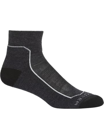 icebreaker Socken Hike+ Light Mini in Dunkelgrau