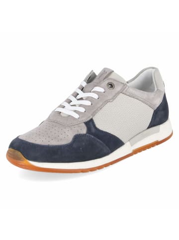 Sioux Schnürhalbschuh in grau-kombi