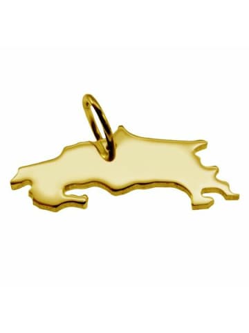 Schmuckador Anhänger der Landkarte Costa Rica in massiv 585 Gelbgold in gold