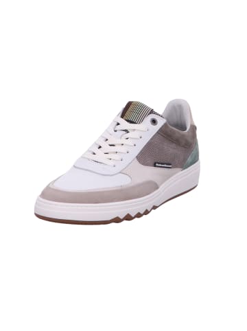 Floris van Bommel Schnürschuh in braun