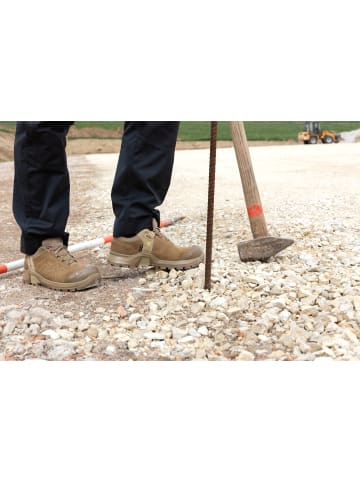 HAIX Sicherheitsschuhe CONNEXIS Safety+ GTX LTR low in beige