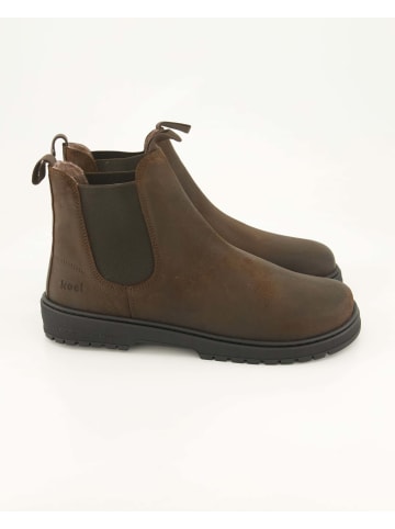 KOEL Chelsea Boots in Braun