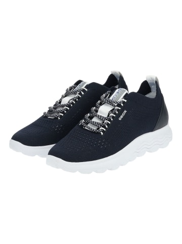 Geox Sneaker in Navy