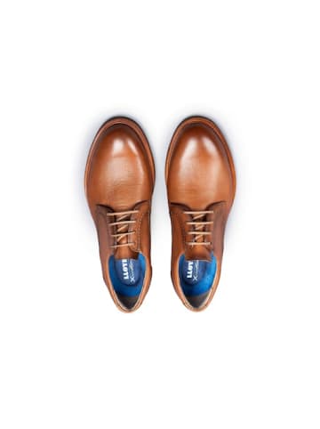 LLOYD Business Schuhe für Herren in uni
