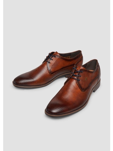 s.Oliver Schnürer in 88D1_mokka