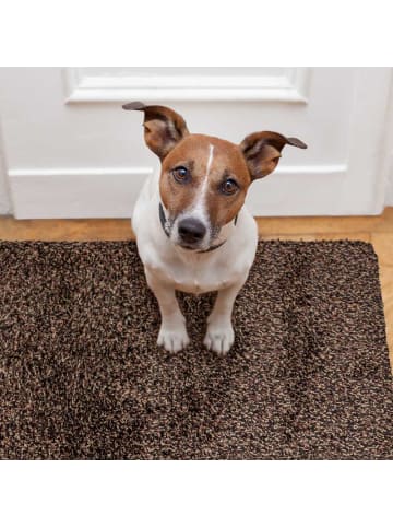 WohnDirect Fußmatte, Türmatte MAGIC DOORMAT 1 in Grau