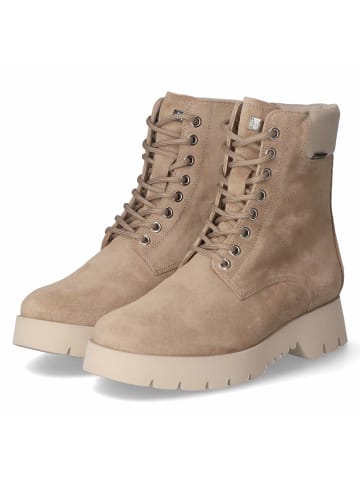 Högl Schnürstiefel in taupe