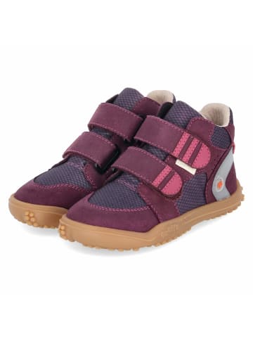 qnuffs Barfußschuhe ZEDER in lila
