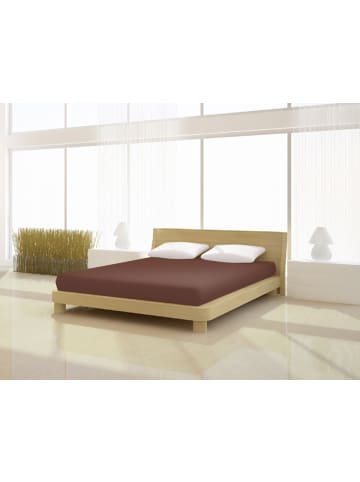 Mr.Sandman Spannbetttuch Elastan basic 180-200 x 200-220 cm in tabak
