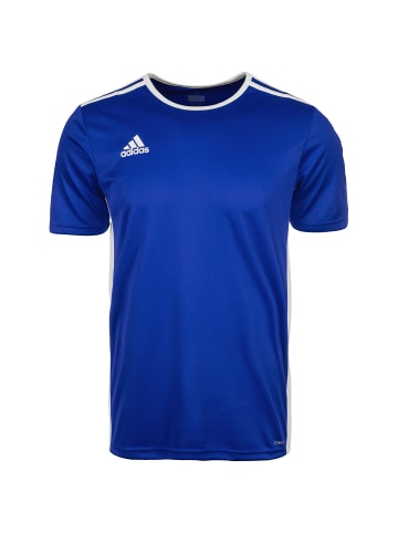 adidas Performance Fußballtrikot Entrada 18 in blau / weiß