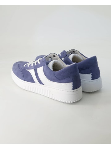 Gabor Comfort Sneaker low in Blau