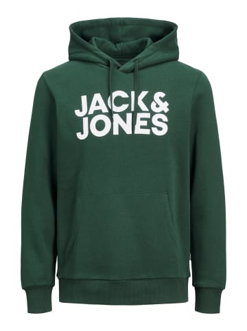 Jack & Jones Sweatshirt 'Corp Logo' in Pine Grove