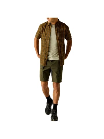 Regatta Begarno Short Sleeve Shirt in Braun