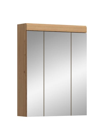 ebuy24 Spiegelschrank Scout Staubgrün 60 x 18 cm