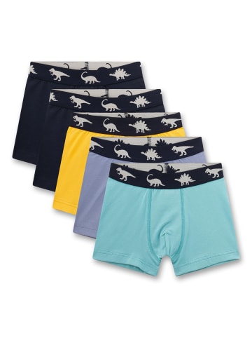 Sanetta Boxershort 5er Pack in Gelb/Blau
