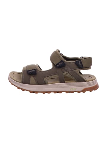 Clarks Trekkingsandalen in Oliv