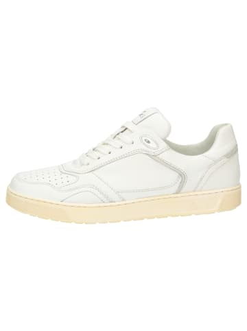Sioux Sneaker Tedroso-704 in weiß