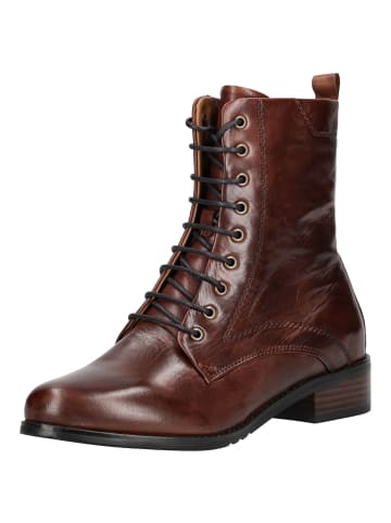 Everybody Stiefelette in Braun