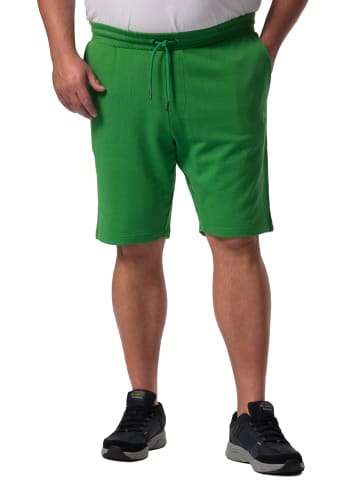 Men Plus Bermuda in hellgrün