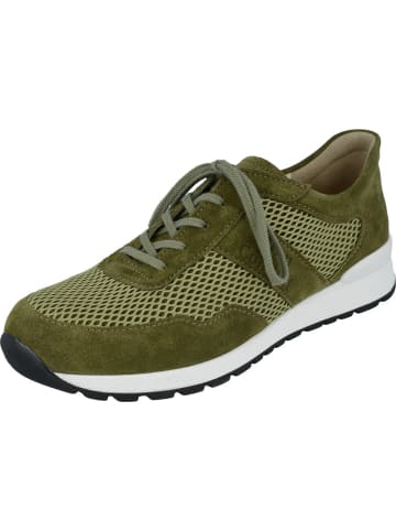 Finn Comfort Sneaker in grün