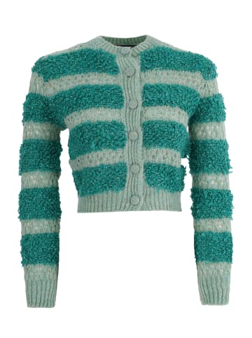 Freshlions Strickjacke VALE' in mint