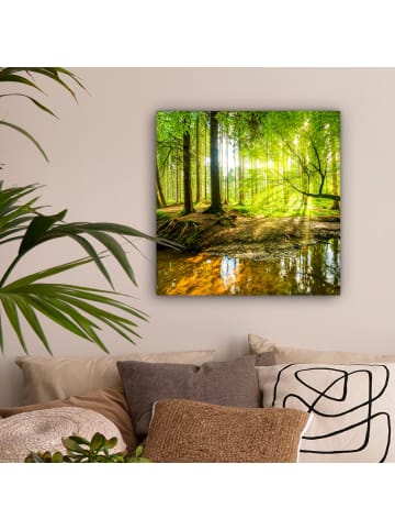 MuchoWow Leinwand Bilder Waldlicht