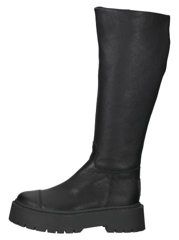 Steve Madden Stiefel in Schwarz