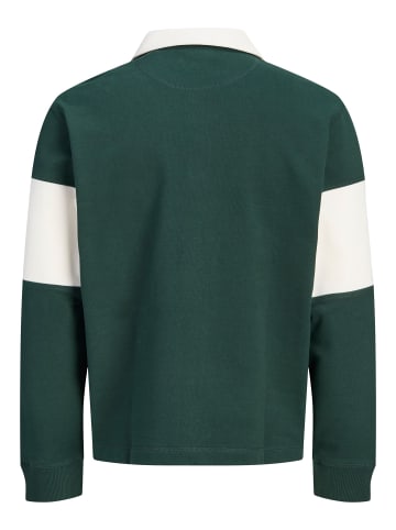JACK & JONES Junior Sweatshirt in Pine Grove
