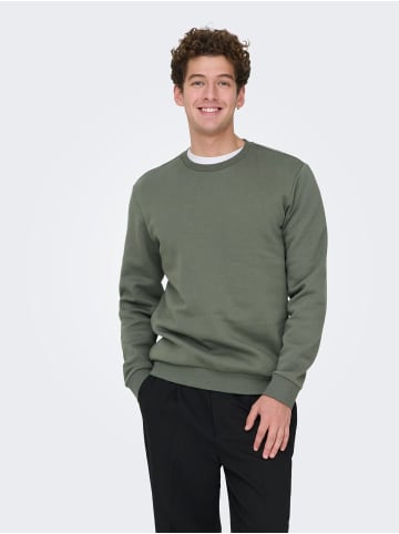 ONLY & SONS Sweatshirt in Castor Gray 1