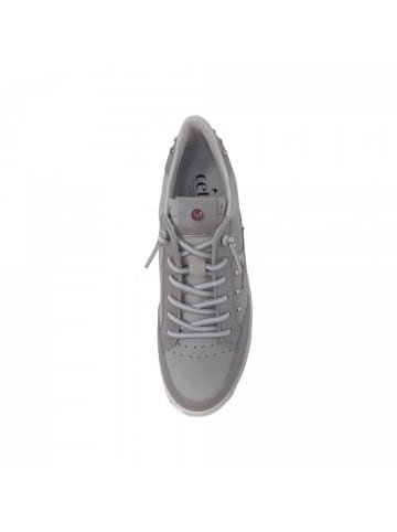 Cetti Sneaker  in Grau