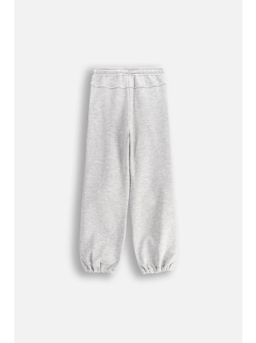 Coccodrillo Jogginghose in grau