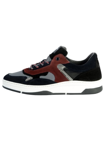 Redskins  Sneaker-Text Blau