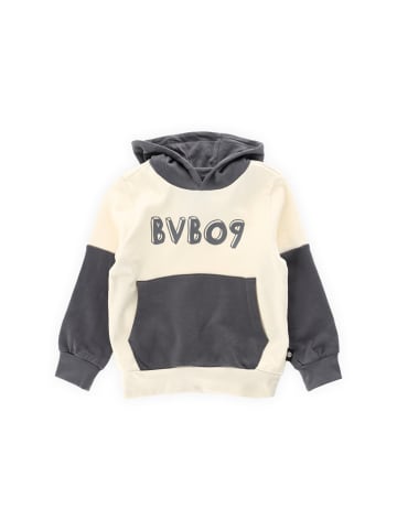 BVB BVB Hoodie Colorblock II Kinder in grau