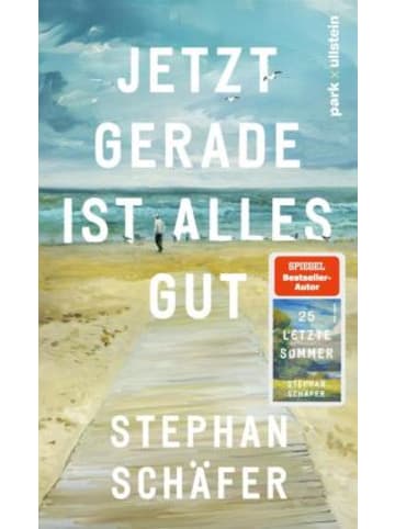park x ullstein Buch - Jetzt gerade ist alles gut