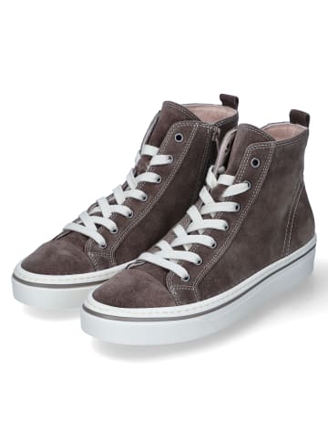 Gabor High Sneaker in Braun