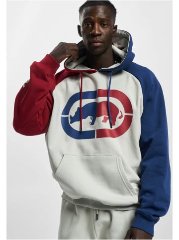 Ecko Kapuzenpullover in grey/red/blue