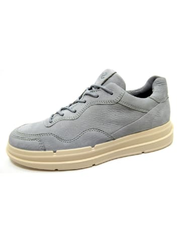 Ecco Sneaker grau in grau