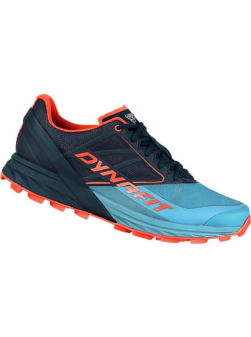 DYNAFIT Laufschuh in Blau