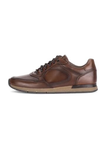 Gabor Sneaker low in braun
