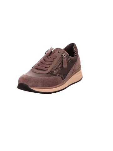 Gabor Komfort Schnürschuh in beige